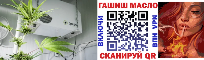 ТГК гашишное масло цена наркотик Братск