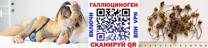 Галлюциногенные грибы GOLDEN TEACHER  Братск 